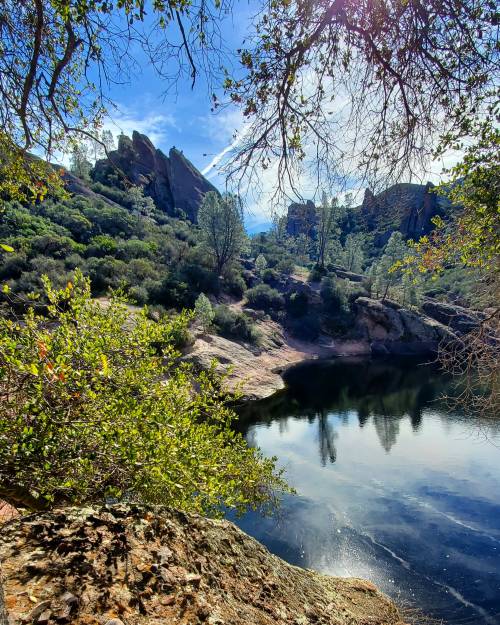 oneshotolive:  It was a smooth getaway, Pinnacles National Park,