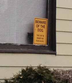 foodfightme:  awesome-picz:    Dangerous Dogs Behind “Beware