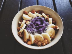 gettingahealthybody:  BLUEBERRY PROTEIN BOWL  Tastes like: Creamy