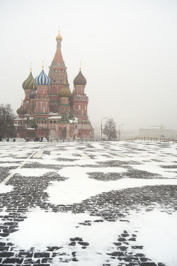 the-absolute-best-photography:  Winter is back to Moscow - Moscow,