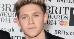 bulgespotter2017:  Niall horan