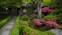 quartzprinz:  Anraku-ji in May 5月の安楽寺     by  Patrick