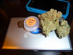 fuckyeswecannabis:  platinum bubble hash, Shishkaberry, and Jedi