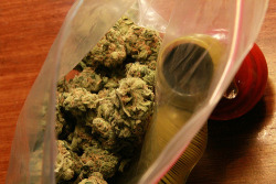 Weed Palace