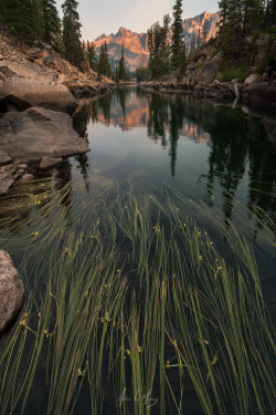 ponderation:  Flow by Adrian C. Murray     Photographer’s