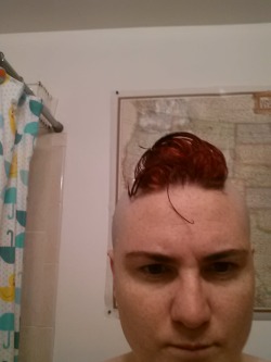 dommebadwolff23:  And the Mohawk is back with a vengeance  i