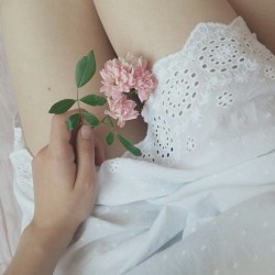 dollfromtheattic:  [03.07.16] - Gathering flowers to press from