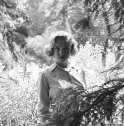 mylovelydeadfriends: Marilyn Monroe in Griffith Park, photographed