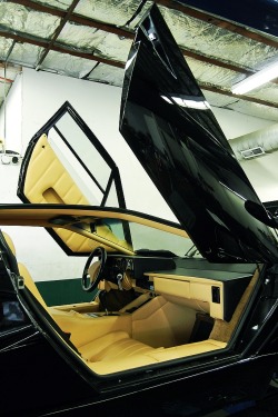 drugera:   1988 Lamborghini 25th Anniversary Countach // via SoulRider.222