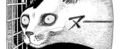 rraaaarrl:  It is that time of yeartime to readJunji Ito’s