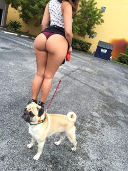 thickbootymagazine:  💕💜Big whooty n a lucky dogg🐶🐶