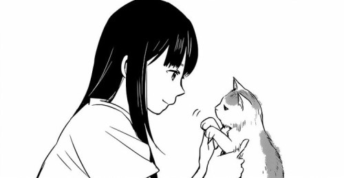 animanga-and-stuff.tumblr.com/post/138432910508/