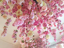 misswallflower: Peony & Blush Suede, by Rebecca Louise Law