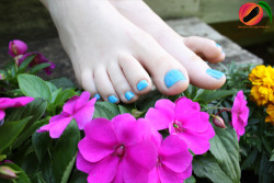barefootgapeaches:  SPRINGTIME BEAUTIESNew set available from