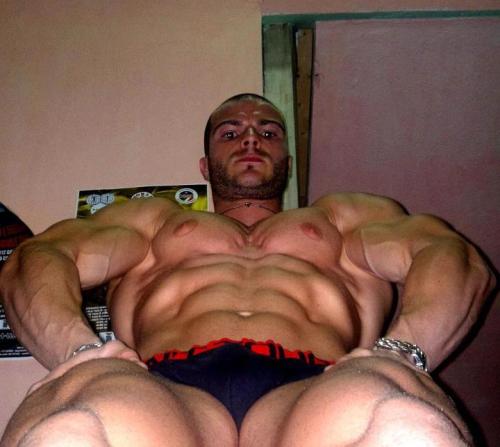 tumblr photo builddudebuild 0