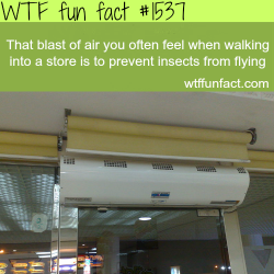 wtf-fun-factss:  Air doors. wtf fun facts