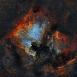 spacettf:  Northamerica and Pelican Nebulas, César Cantú by