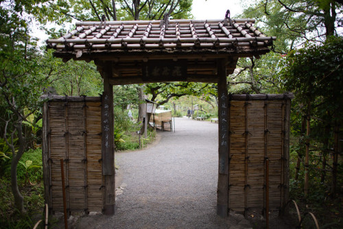 uroko:    向島百花園(Mukojima Hyakkaen)  