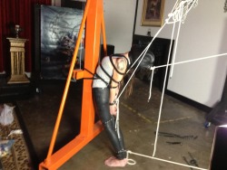 shadowexe01:  lilmissnatalie:  An interesting predicament with