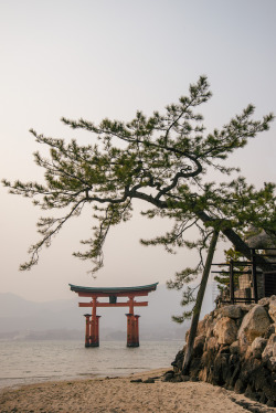 sampledlight:  Miyajima Gate. 2014.Owen Spargo - Tumblr | Flickr