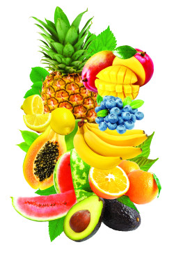 littlealienproducts:  fruit mix collage, 13x19 print by chari