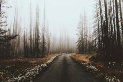 danielodowd:  Sam Elkins. 