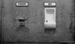 olentaalla:  Remember how these images of anti-gay discrimination