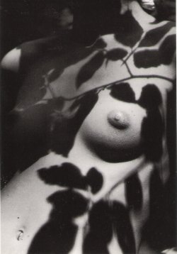 Le feuillage by Philippe Pache, 1991 