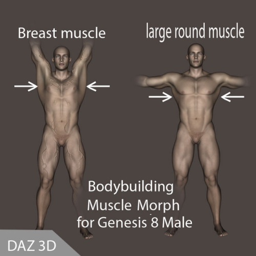 New muscle morphs now available by va-sily! “Muscle  Morphs for Genesis 8 Male”- I created these muscular morphs that make  the back of Genesis bodybuilding body more realistic. Ready for G8M in Daz Studio 4.9 and up!  Muscle Morphs For G8Male