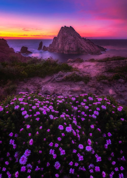 coiour-my-world:  Sugarloaf Sunset | Cape Naturaliste, Western