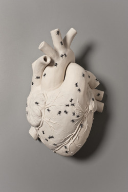 fer1972:  Porcelain Sculptures by Kate MacDowell