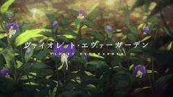 aizawas:  time heals all sorrows   —   「violet snow  」visuals