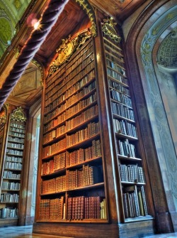 bluepueblo:  National Library, Vienna, Austria photo via robbie
