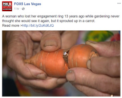 justinpie:  perforated-smile: A 1 carrot ring  Blocked  