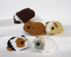 motleymakery:  DIY Amigurumi Guinea Pigs: Free Crochet Pattern, 