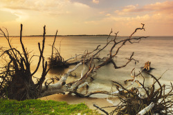 capturedphotos:  A Higher Point of view of Big Talbot Island