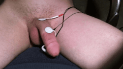 handsfreepleasure:  Male hands free and prostate orgasm blogFollow