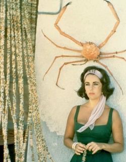 summers-in-hollywood:Elizabeth Taylor on the set of Suddenly,