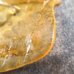 terpsincluded:  Golden Bubblegum #shatter #stable #clarity #dewaxed