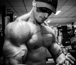 Adonis Files