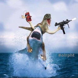 here’s a pic of a velociraptor  riding a shark! come on