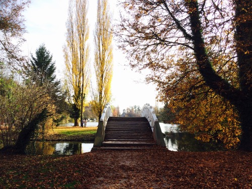 from a few weeks ago, visiting Germany Nov 2015. all the fall beauty ðŸ‚ðŸ