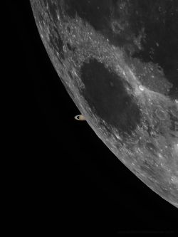 astronomyblog:   Occultation of Saturn     by: Paul Stewart 