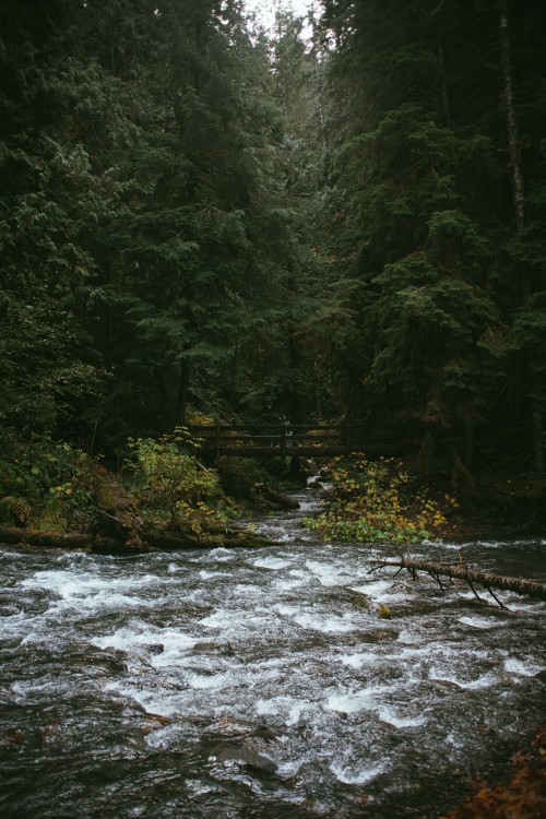 greenmountainwitch:  Roaring river