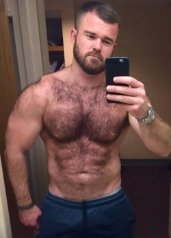 hairymacho:http://hairymacho.tumblr.com/