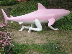 genderoftheday:  Todays gender of the day is: Happy shark taking