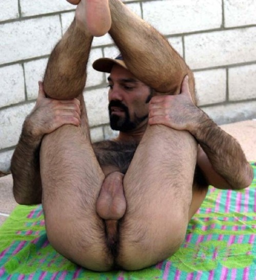 hairy bear hairy butt livegay star gay porn star :  http://www.gaylivestars.com Tumblr Porn