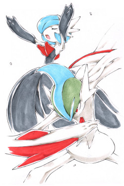 rx79v:Mega Gallade (Psycho Cut) and mega Gardevoir (Hyper Voice)