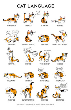 thecatart:  Cat Language 11" x 17" Print cat pictures