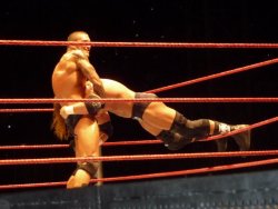 rwfan11:  Orton and HHH …..you know you want to move your hand